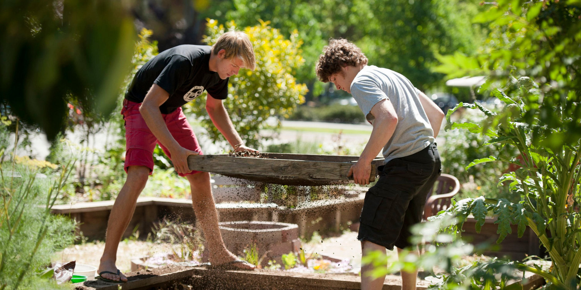 Two male students gardening in a Stanford garden