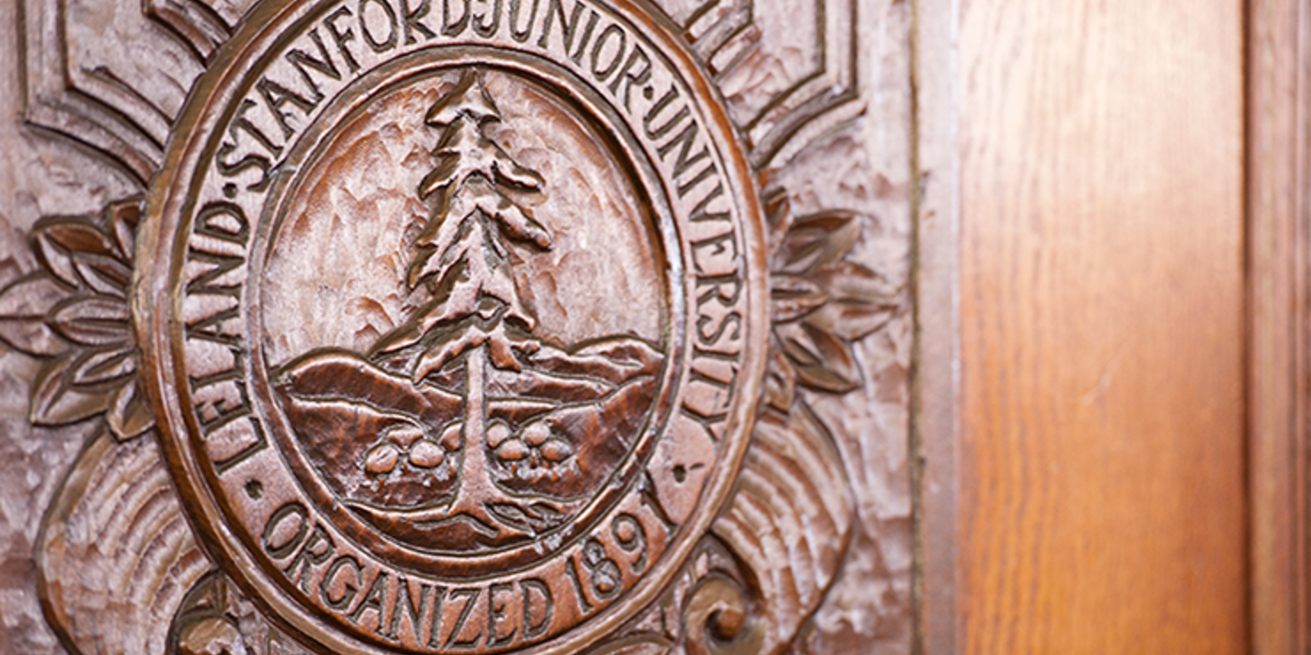 Wooden Stanford seal