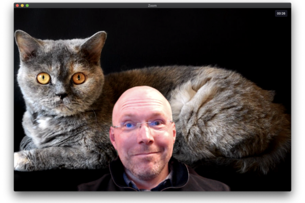 Brad Immanuel with virtual background of a cat