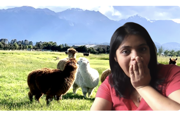 Dishita Patel with virtual background of kissing alpacas