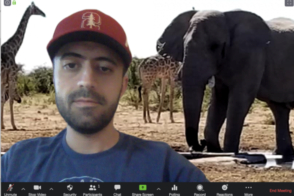 Erfan Mojaddam with virtual background of elephant