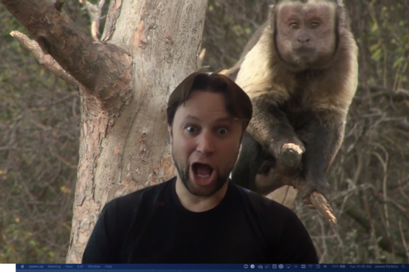 James Perkins with virtual background of a monkey