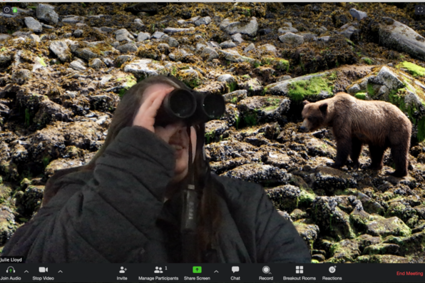 Julie Lloyd with virtual background of bears