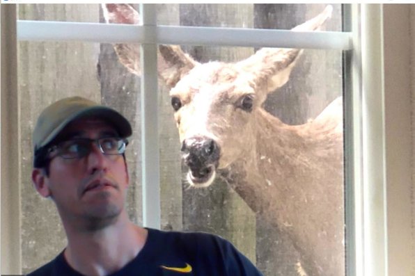 Matt Flores with a virtual background of deer