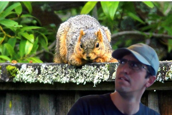 Matt Flores with a virtual background of a squirrel 