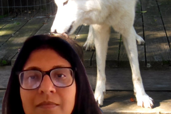 Namita Dalal with a virtual background of a wolf