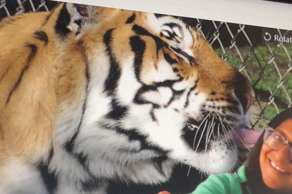 Namita Dalal with a virtual background of a tiger
