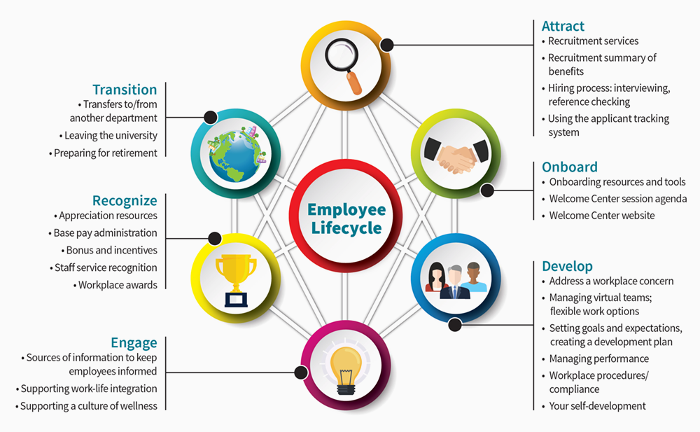 Employee lifecycle stages infographic: Attract, Onboard, Develop, Engage, Recognize, Transition