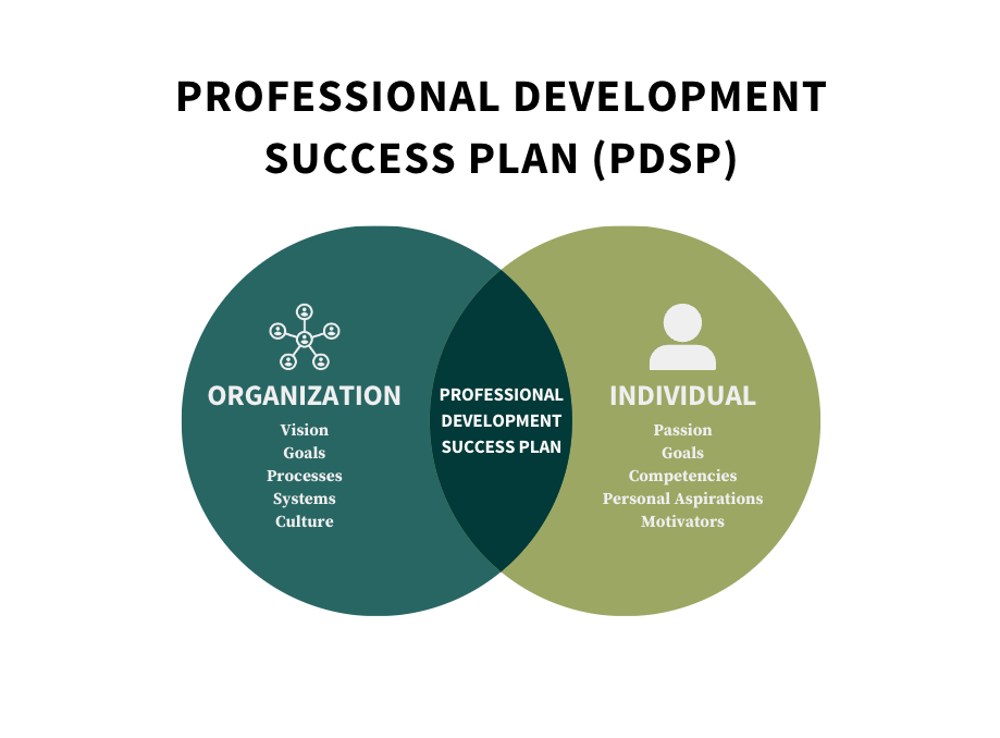 Organization: Vision, Goals, Processes, Systems, and Culture; Professional Development Success Plan; Individual: Passion, Goals, Competencies, Personal Aspirations, and Motivators